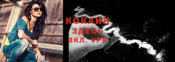 винт Богданович